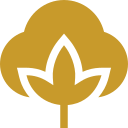 Absorbent Sap Core
